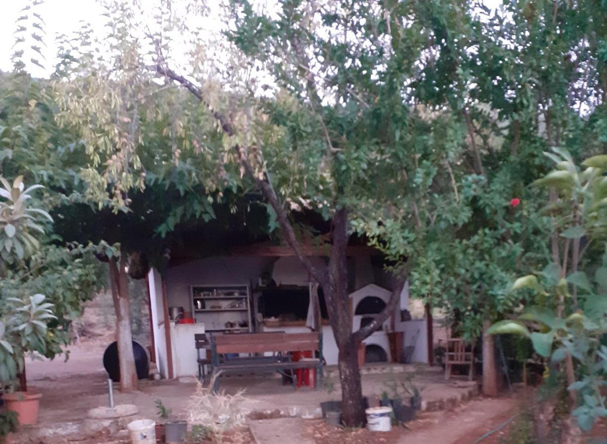 A Modern Farmhouse With Big Garden Trápeza Dış mekan fotoğraf