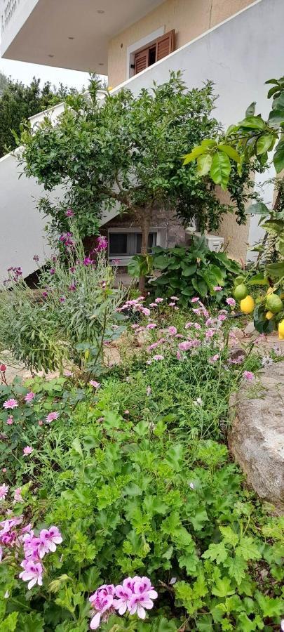 A Modern Farmhouse With Big Garden Trápeza Dış mekan fotoğraf